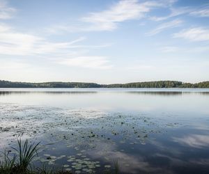 Jezioro Ukiel w Olsztynie. Jak Olsztyn uratuje swój skarb natury?
