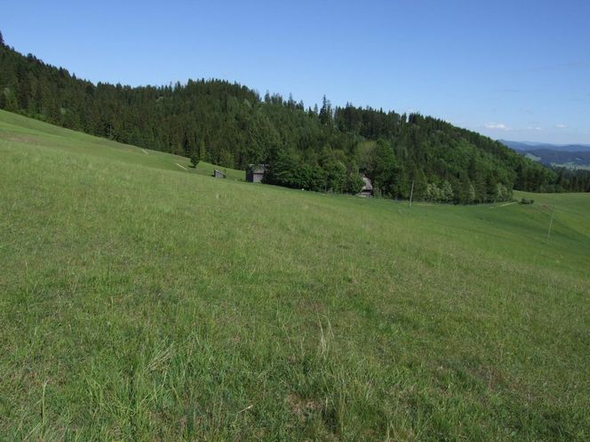 To najbardziej malownicza wieś w Małopolsce. Kiedyś rządzili nią przodkowie premiera Słowacji 