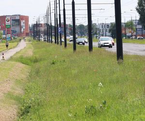 Tak wygląda al. Unii Lubelskiej w Lublinie przed przebudową (pierwsza połowa czerwca 2025)