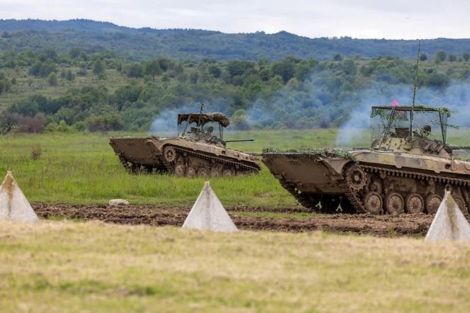 Słowackie BMP-2. Ćwiczenia Slovak Shield 2025