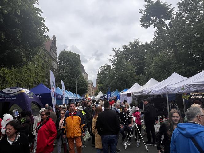 Piknik nad Odrą 2024 Szczecin 