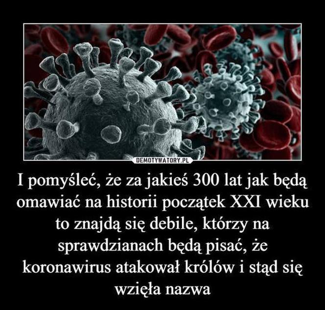 Szkoła a koronawirus: MEMY. Wrzesień w szkole w oczach internautów [ZDJĘCIA]