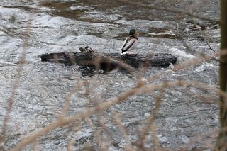 W dolinie Bystrzycy może powstać nowy park