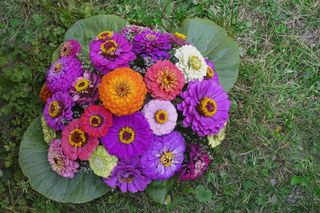 Wiązanka na cmentarz z kwiatów żywych i suszonych. Jakie kwiaty sprawdzą się najlepiej? 