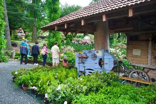 Mało kto wie o tym urokliwym ogrodzie. To idealne miejsce na romantyczną sesję. Znajduje się w Polsce! 