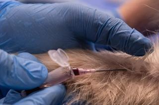 Fabian był stworzony do zarabiania pieniędzy