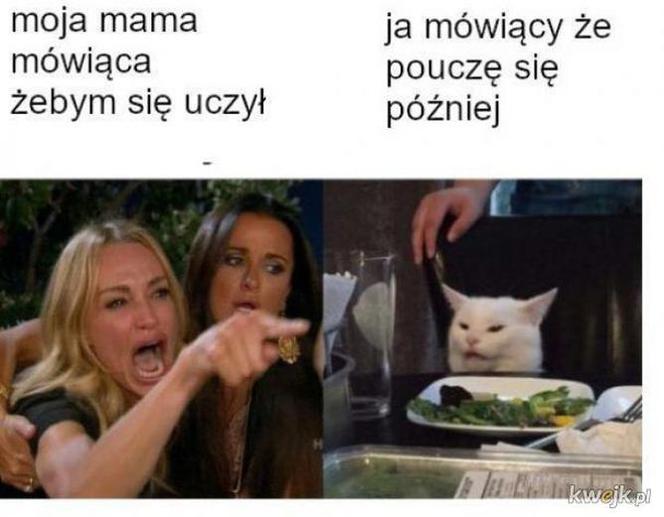 Memy z mamą w roli głównej 