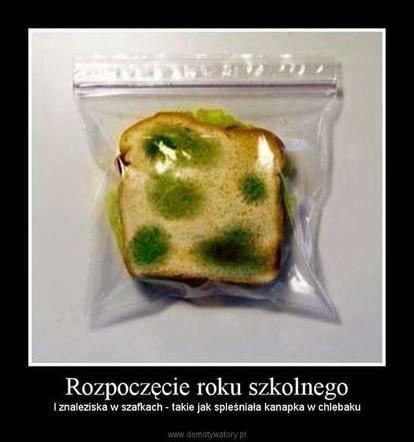 Rozpoczęcie roku szkolnego 2019 - MEMY