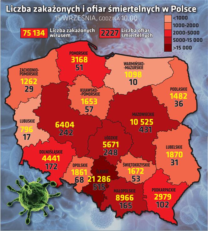 Koronawirus w Polsce. Dane na 15 września