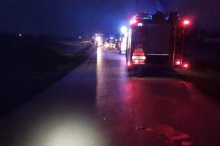 Miechowice Wielkie. Huknął w przydrożne drzewo! Z bmw został wrak