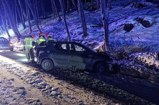 Jelna. Kobieta straciła panowanie nad peugeotem i uderzyła w skarpę. Trafiła do szpitala razem z dzieckiem
