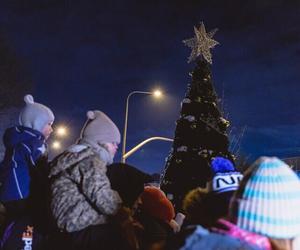 Dzielnicowe choinki w Gdańsku już świecą