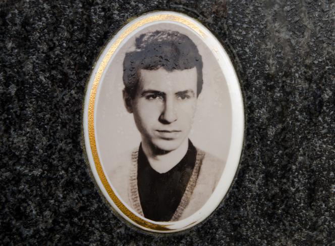 Gawronik wolny za 50 tyś. złotych