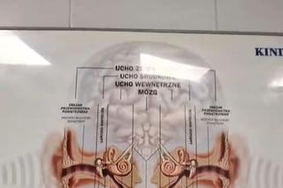 Marcin Mroczek (Piotrek w M jak miłość)