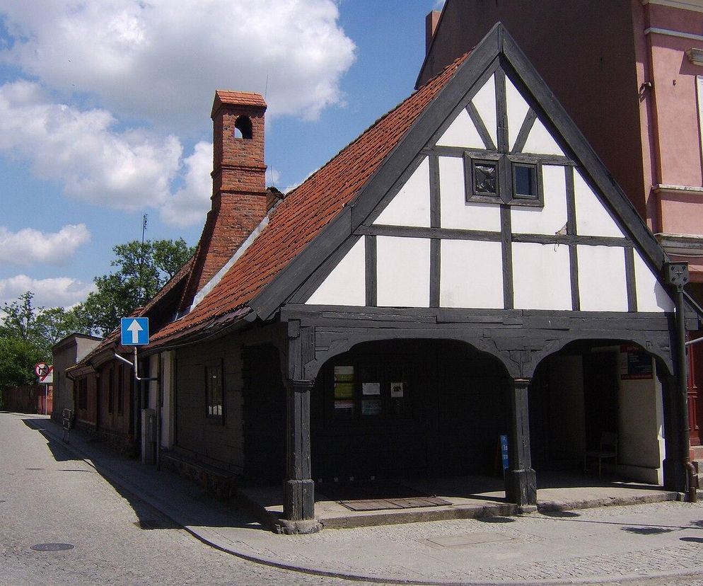 Golub Dobrzyń