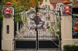 Gdańsk: Dom jak z horroru. Udekorowali budynek na helloween [ZDJĘCIA]