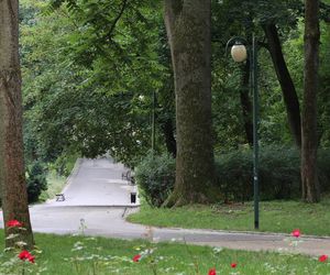 Ogród Saski w Lublinie w wakacyjny poranek 2025