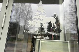 Schronisko dla Zwierząt w Olsztynie