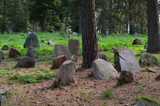 Kruszyniany na Podlasiu