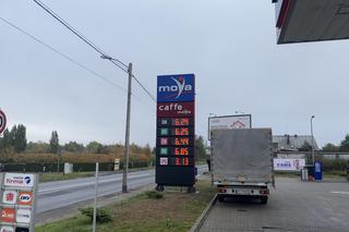 Ceny paliw przed Wszystkich Świętych