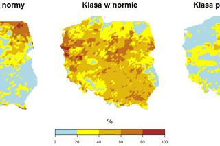 Pogoda na sierpień 2020: Długoterminowa prognoza pogody