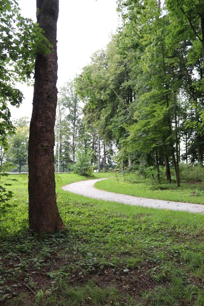 Zabytkowy park pod Lubawą zmienił się nie do poznania. Teraz wygląda jak z bajki