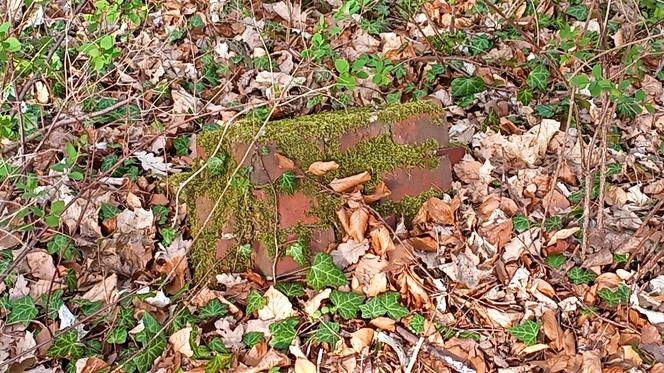 Wieża Baresela nad Jeziorem Szmaragdowym