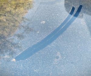 Żółty pył na ulicach Tarnowa. Czy jest groźny dla zdrowia?