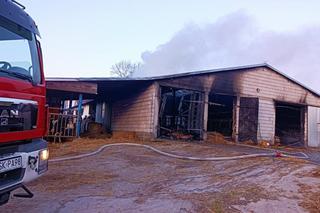 Kizielany. Tragiczny pożar obory. Spłonęło ponad 100 sztuk bydła