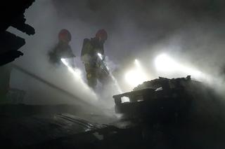 Rezerwat Dzikich Dzieci pożar