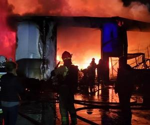 Spłonęła hala magazynowa w Grodzisku. Pożar gasiło nocą wiele zastępów straży [FOTO]