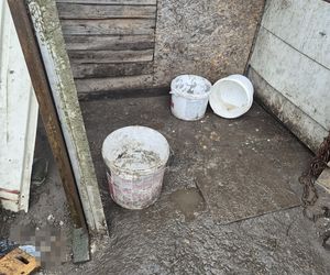 Dramat w Pruszkowie. Przetrzymywał zwierzęta w skandalicznych warunkach. Właściciel próbował się ich pozbyć