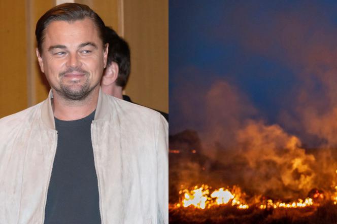 Leonardo DiCaprio i pożary puszczy Amazonii