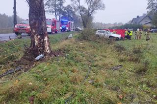 Śmiertelny wypadek pod Zgierzem! 34-latka leżała poza pojazdem 
