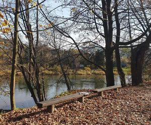AI wybrała najlepsze miejsce na jesienny weekend w Małopolsce. Dla podróżników jest kultowe!