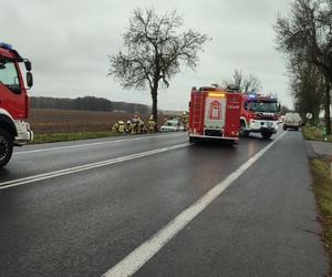 Matka i dzieci poszkodowane w wypadku koło Leszna