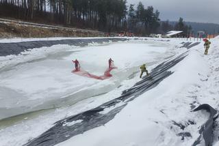 REGION: Sarenka i koziołek utknęły na lodzie. Zwierzęta ewakuowali strażacy