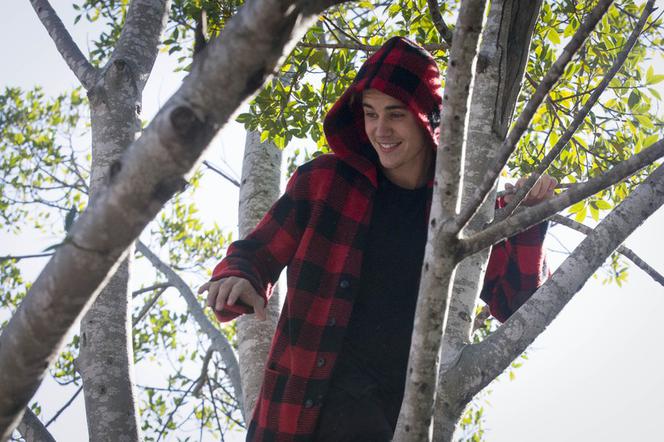 Justin Bieber wdrapał się na drzewo, by zaśpiewać dla fanów