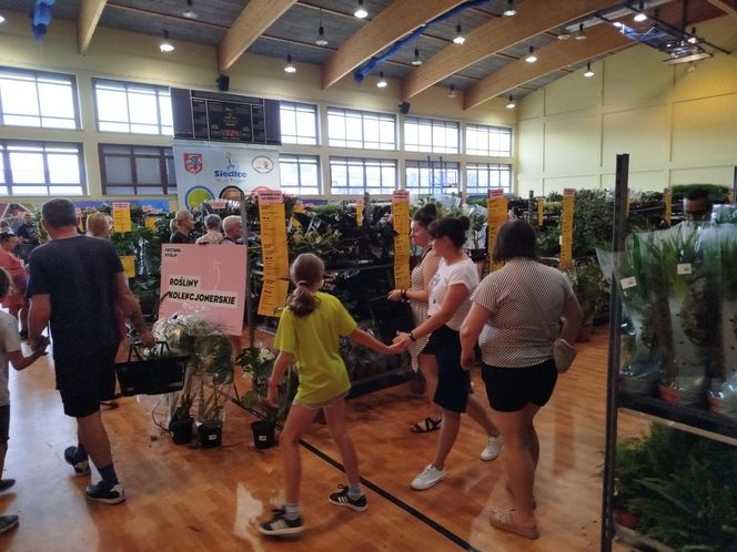 Festiwal Roślin 2025 w Siedlcach