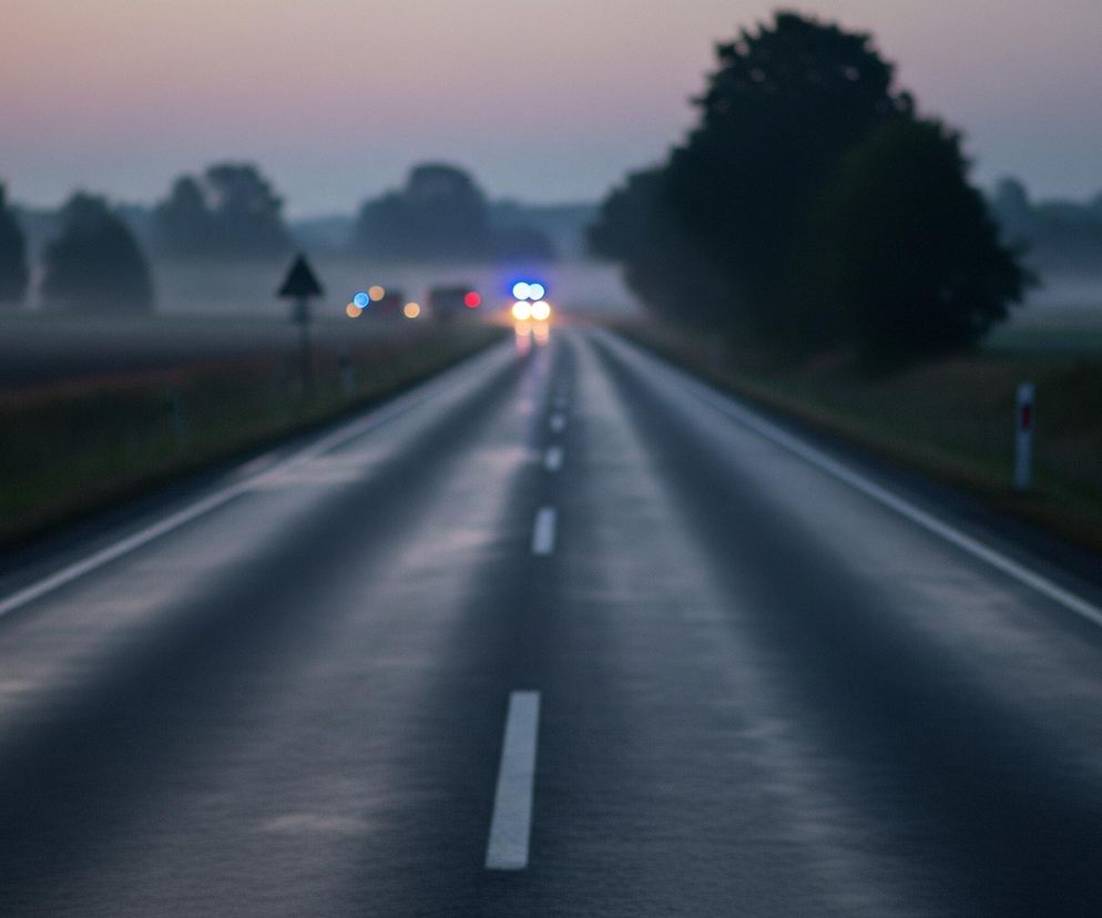 Asfaltowa droga biegnie prosto w głąb obrazu, a jej nawierzchnia jest ciemnoszara i mokra. Na środku drogi widoczne są przerywane białe linie, a po bokach ciągłe białe linie oddzielające pasy. W oddali, na horyzoncie, mgła otacza drzewa i pola, a niebo ma odcienie różu i fioletu. Zbliżają się światła pojazdów: białe i czerwone światła z tyłu samochodów oraz niebieskie światła alarmowe, sugerujące obecność służb.