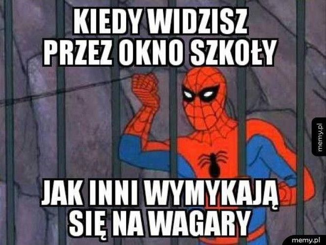 Memy na dzień wagarowicza