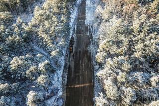 W Zielonej Górze będzie można jeździć na nartach. Powrót kultowego miejsca 