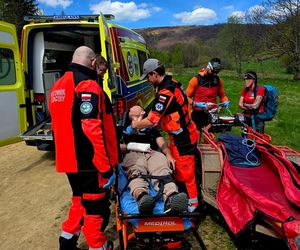 Turysta ukąszony przez żmiję.