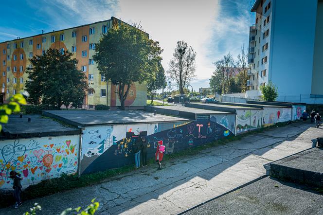 Dziki, balon, kaczki - symbole Witomina na muralach i w filmie