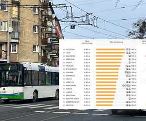 Szczecin wysoko w cenach biletów, ale czy słusznie? Miasto prostuje informacje