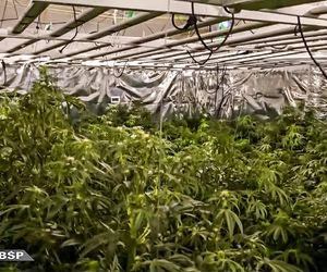 Akcja CBŚP w dwóch województwach. Zdjęcia z działań służb