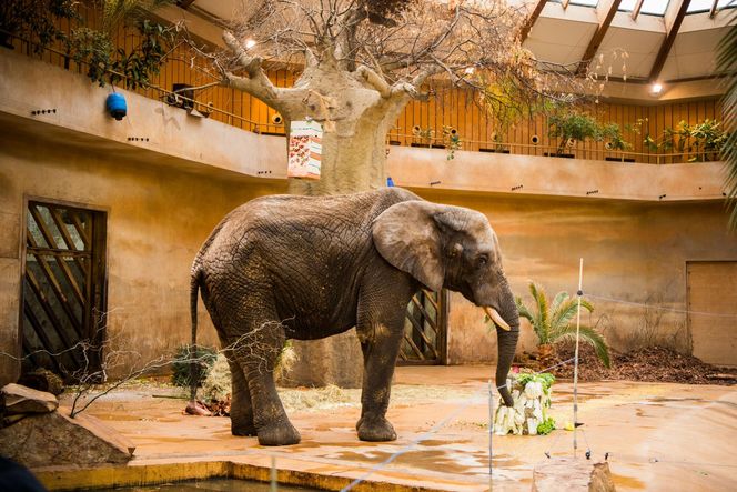 Warszawa Miejski Ogrod Zoologiczny