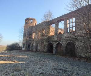 Ruiny Pałacy Tarłów w Podzamczu Piekoszowskim