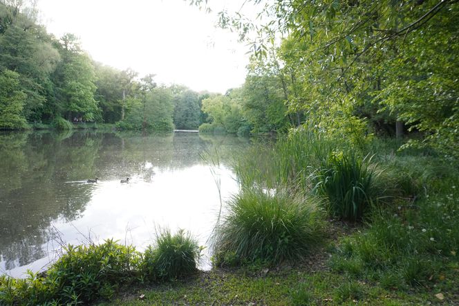 1. Park Sołacki 