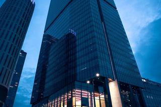 Skyliner Everest Run